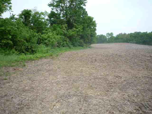 7.49-acres Ruppel Vincennes, IN 47591 - Photo 9 of 11 Gallery Image 9