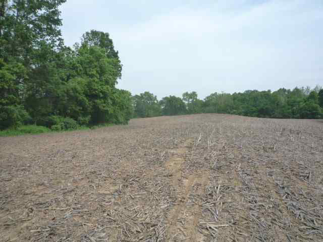7.49-acres Ruppel Vincennes, IN 47591 - Photo 10 of 11 Gallery Image 10