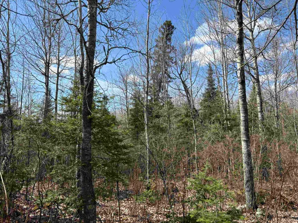 $195,000 | 1 Fernberg Road, Ely, MN 55731