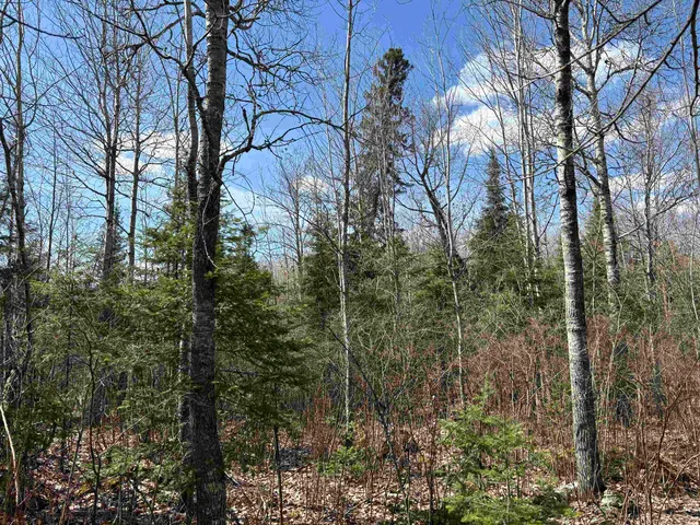 $195,000 | 1 Fernberg Road, Ely, MN 55731