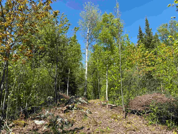 $195,000 | 1 Fernberg Road, Ely, MN 55731