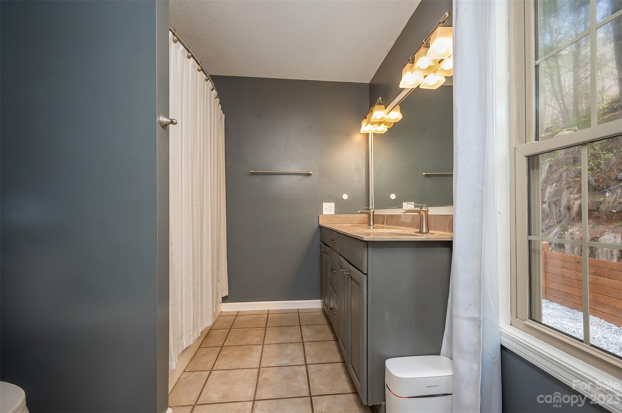 1251 Terrys Creek Road Zirconia, NC 28790 - Photo 22 of 48 a bathroom with a sink a toilet and a mirror