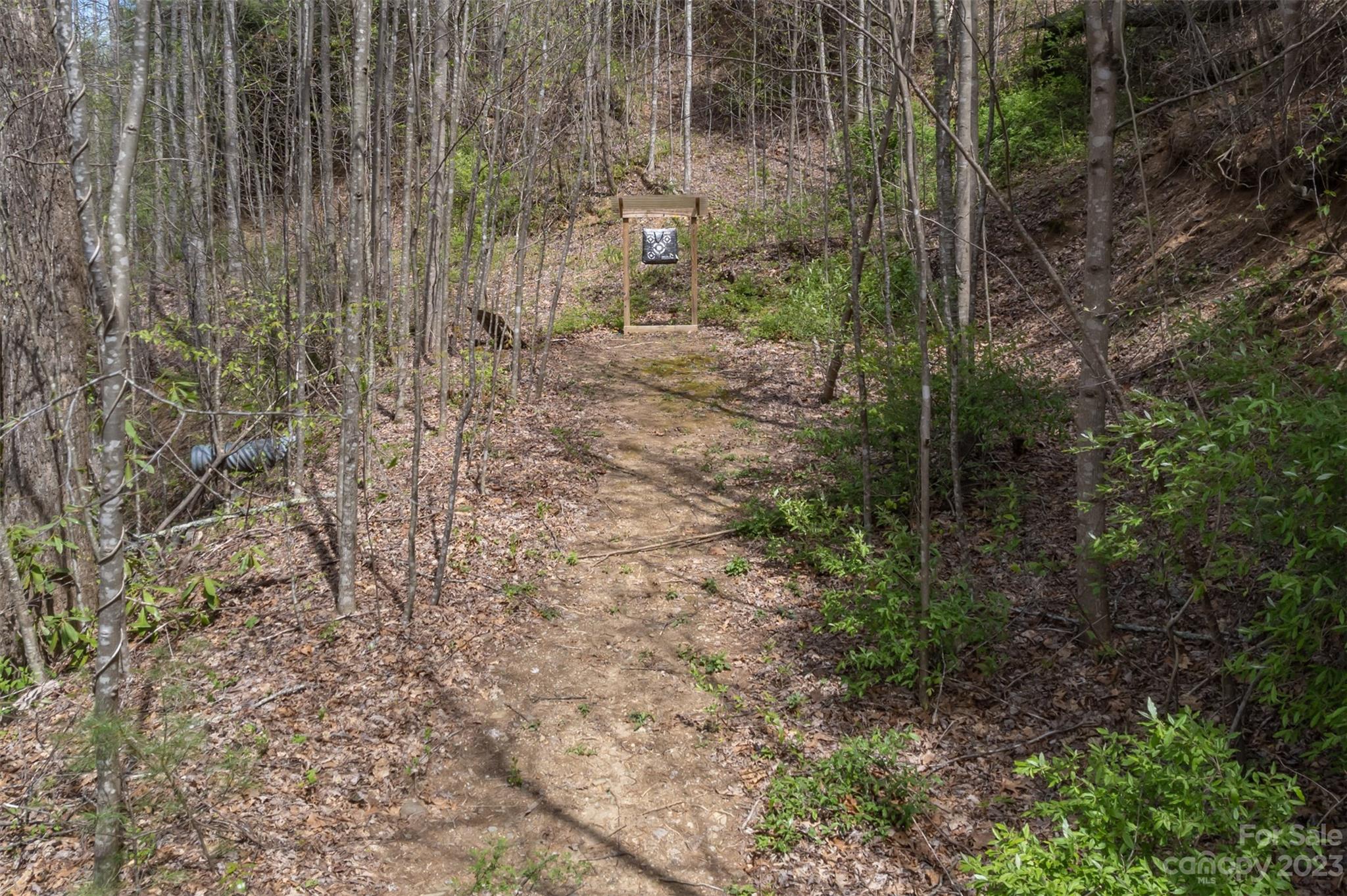 1251 Terrys Creek Road Zirconia, NC 28790 - Photo 39 of 48 a view of a forest with trees