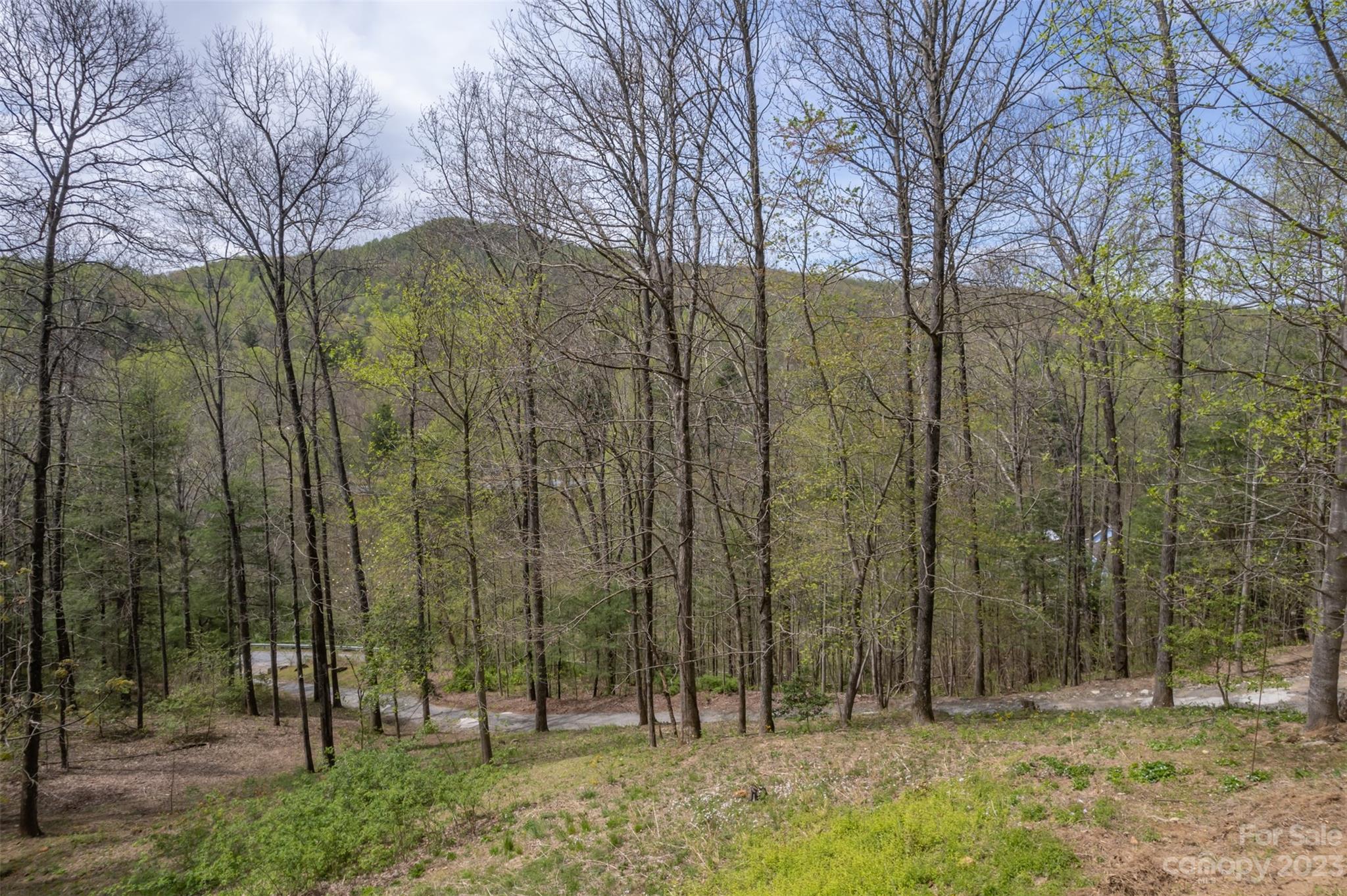 1251 Terrys Creek Road Zirconia, NC 28790 - Photo 40 of 48 a view of outdoor space with trees
