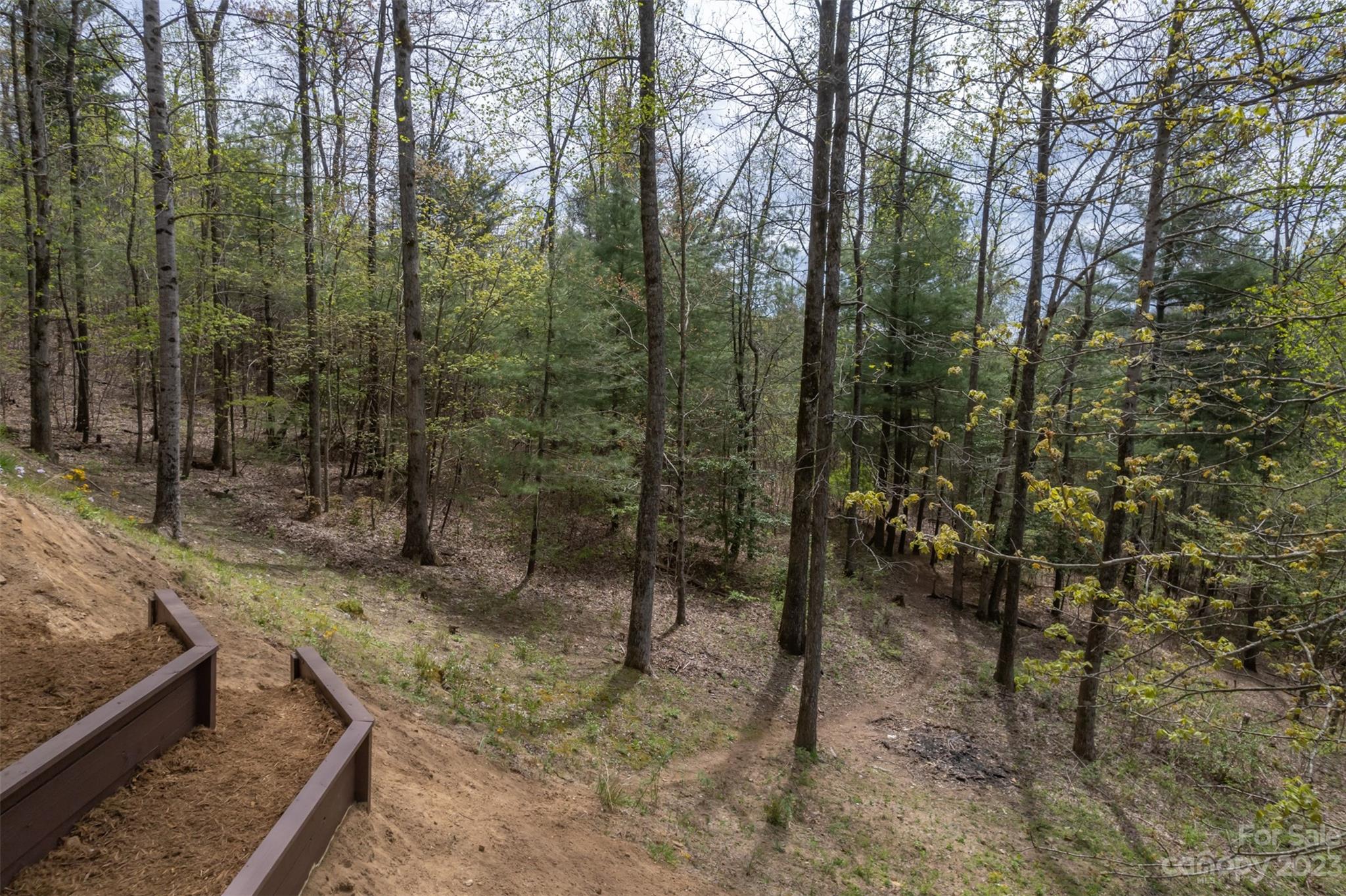 1251 Terrys Creek Road Zirconia, NC 28790 - Photo 41 of 48 a view of a forest filled with trees