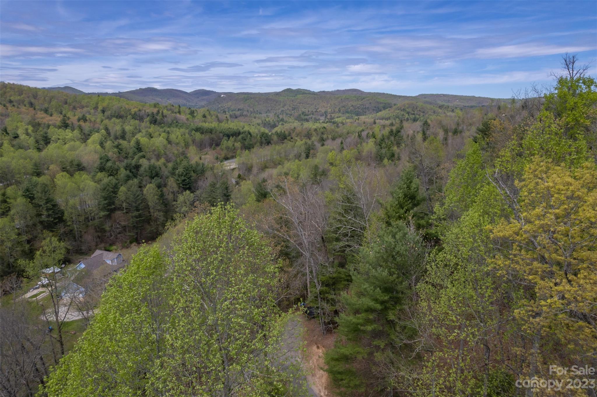 1251 Terrys Creek Road Zirconia, NC 28790 - Photo 45 of 48 a view of a lush green forest with lush green forest