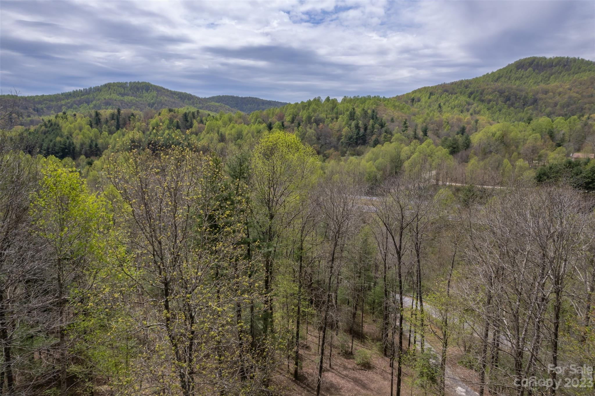 1251 Terrys Creek Road Zirconia, NC 28790 - Photo 46 of 48 a view of a lush green forest with a mountain