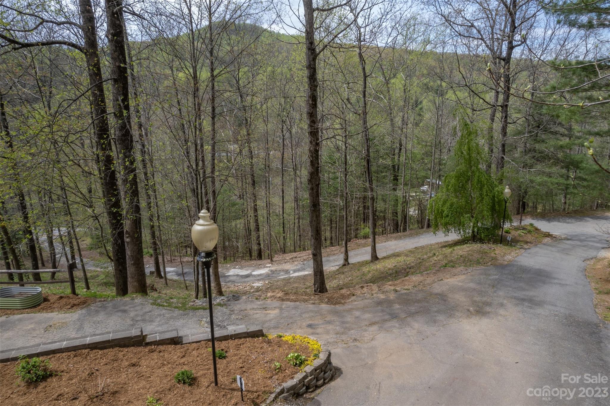 1251 Terrys Creek Road Zirconia, NC 28790 - Photo 47 of 48 a backyard of a house with lots of green space