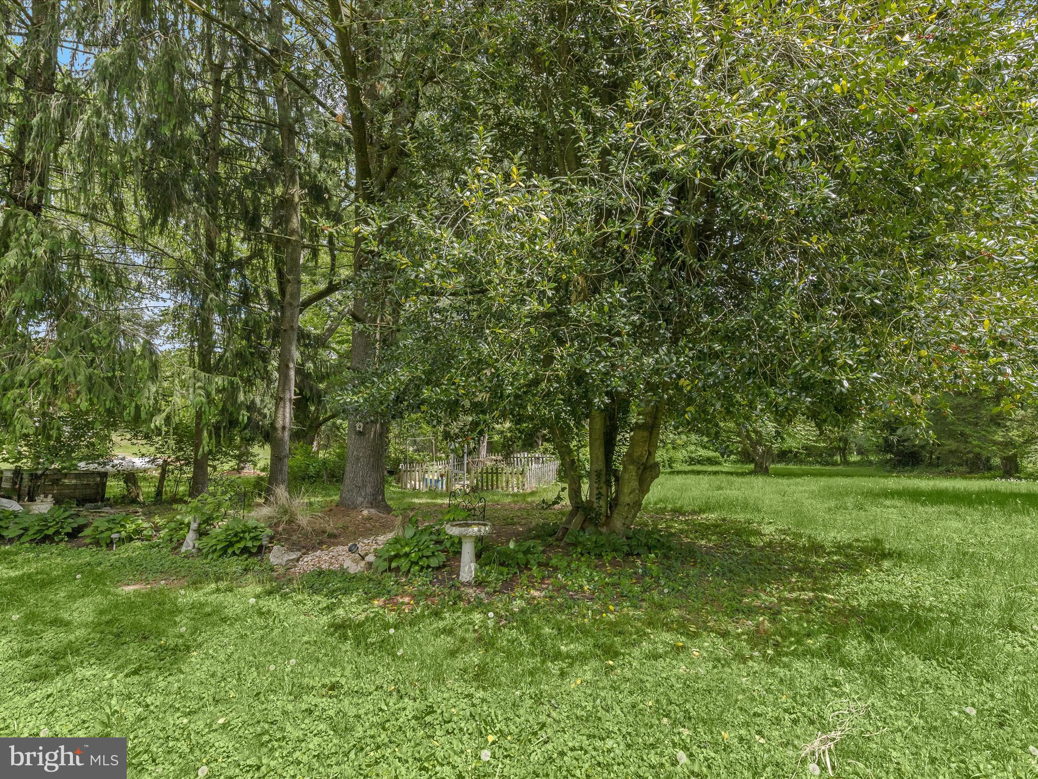 1501 Long Corner Road Mount Airy, MD 21771 - Photo 54 of 116 Rear Yard