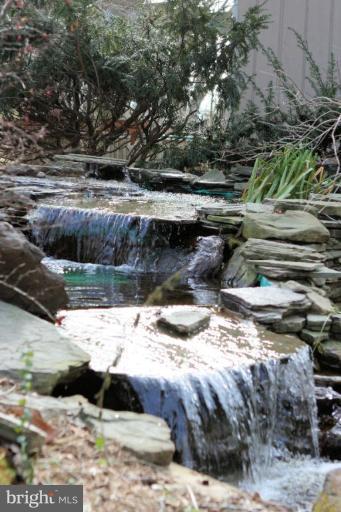 466 Forelands Road Annapolis, MD 21401 - Photo 4 of 30 Landscaping is gorgeous!