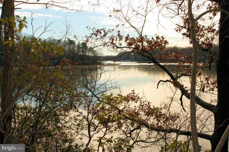 466 Forelands Road Annapolis, MD 21401 - Photo 6 of 30 Wooded View / Acreage