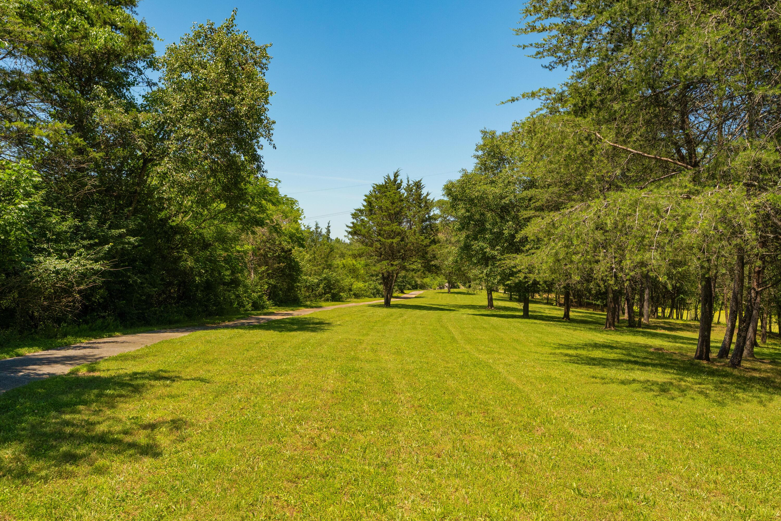 527 Reads Lake Road Chattanooga, TN 37415 - Photo 83 of 100 95 - 527 Reads Lake - Grounds