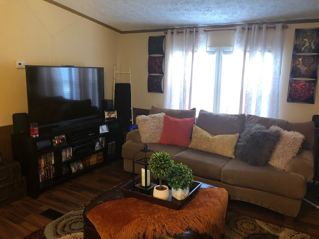 626 Indian Road Bowman, SC 29018 - Photo 19 of 27 great room with tv