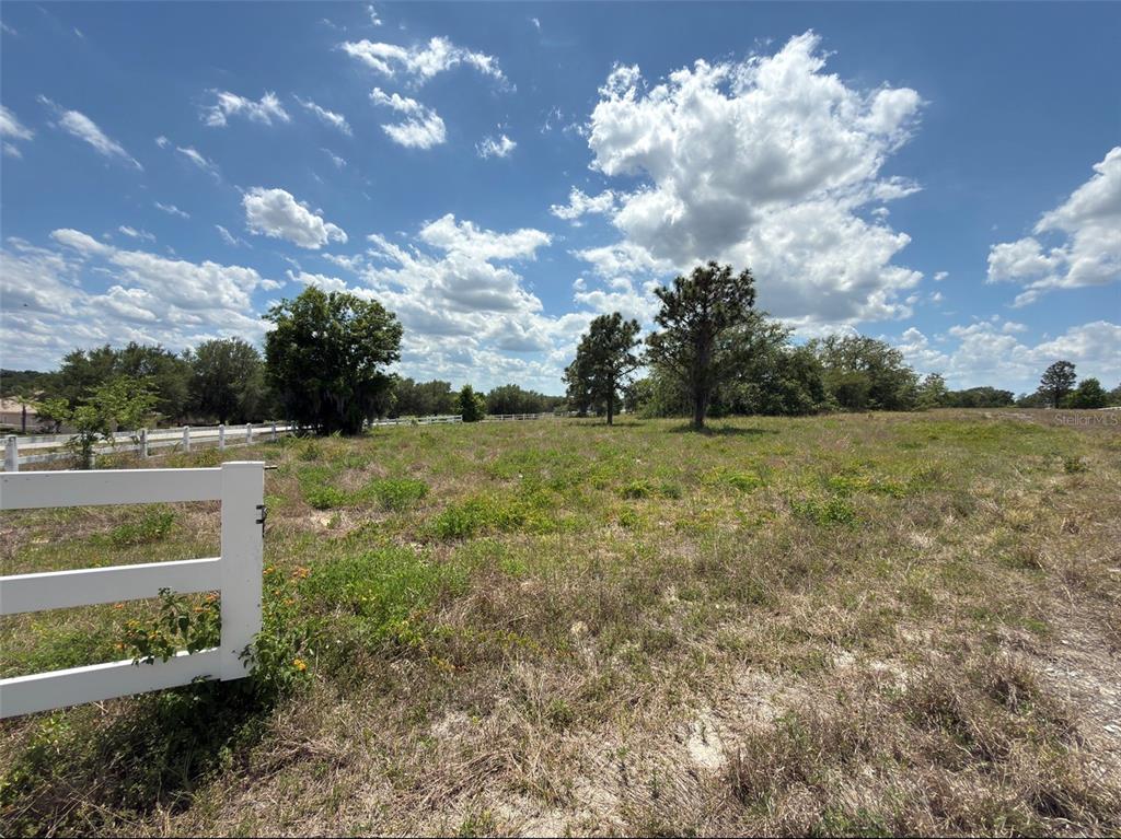 6115 Ranch Lake Road Groveland, FL 34736 - Photo 15 of 28