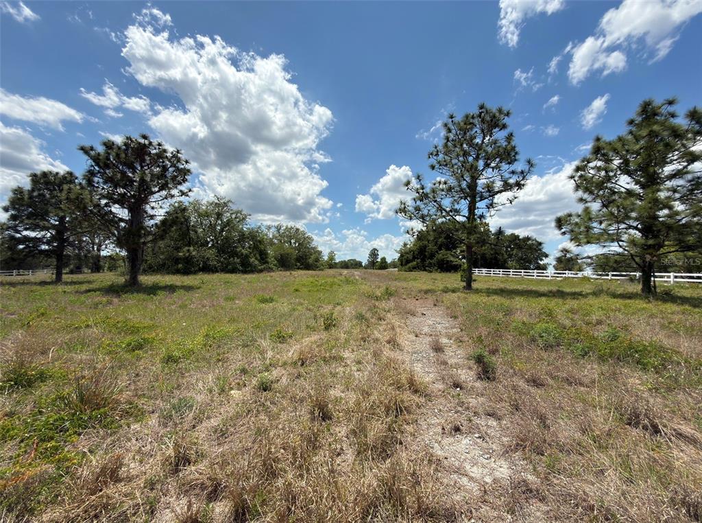 6115 Ranch Lake Road Groveland, FL 34736 - Photo 16 of 28