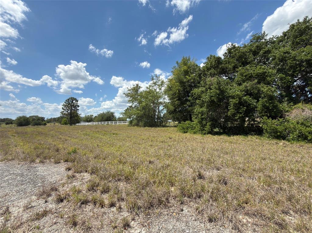 6115 Ranch Lake Road Groveland, FL 34736 - Photo 20 of 28