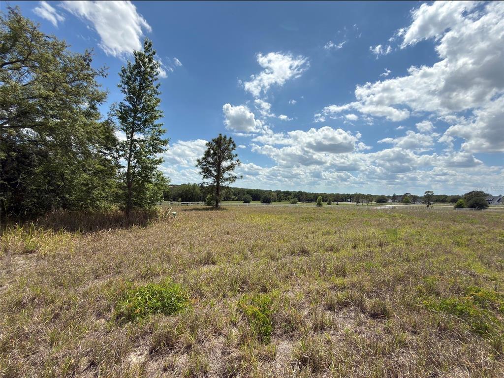 6115 Ranch Lake Road Groveland, FL 34736 - Photo 22 of 28
