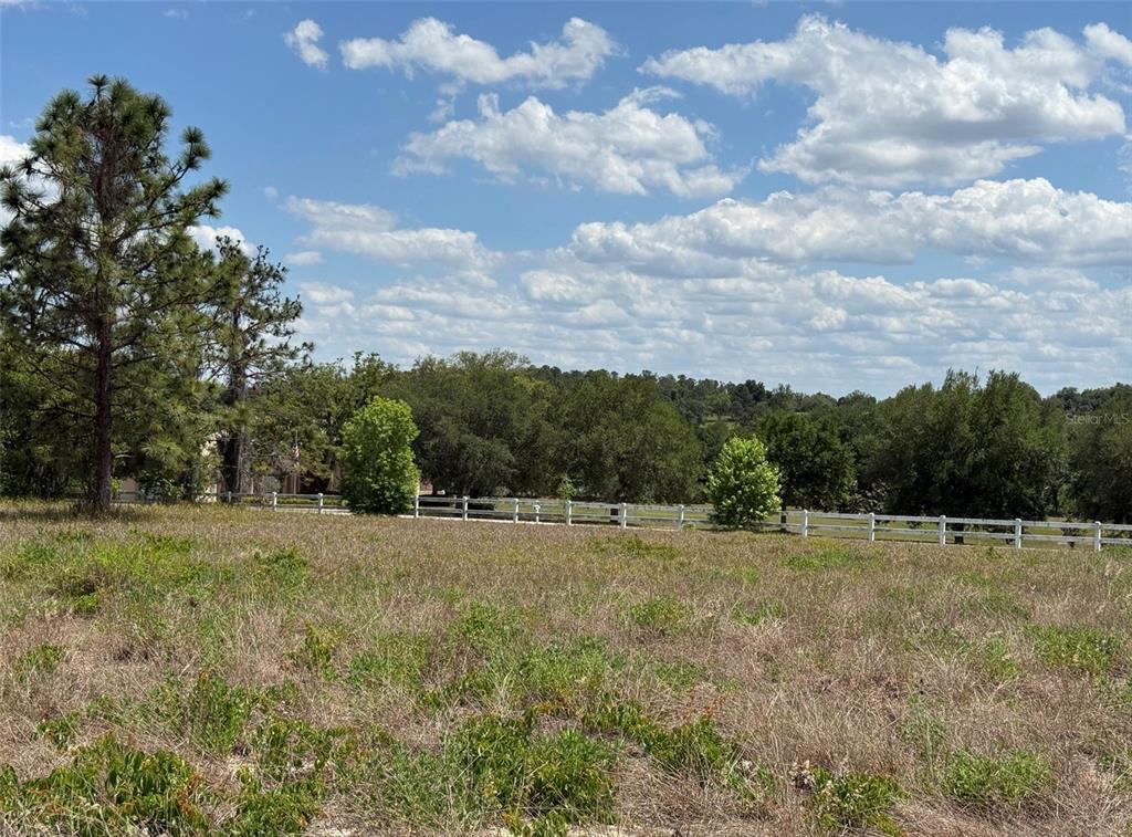 6115 Ranch Lake Road Groveland, FL 34736 - Photo 23 of 28