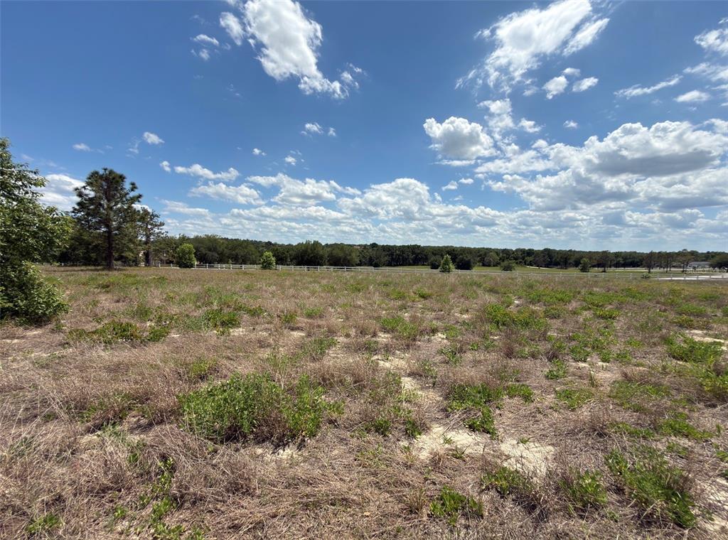 6115 Ranch Lake Road Groveland, FL 34736 - Photo 24 of 28