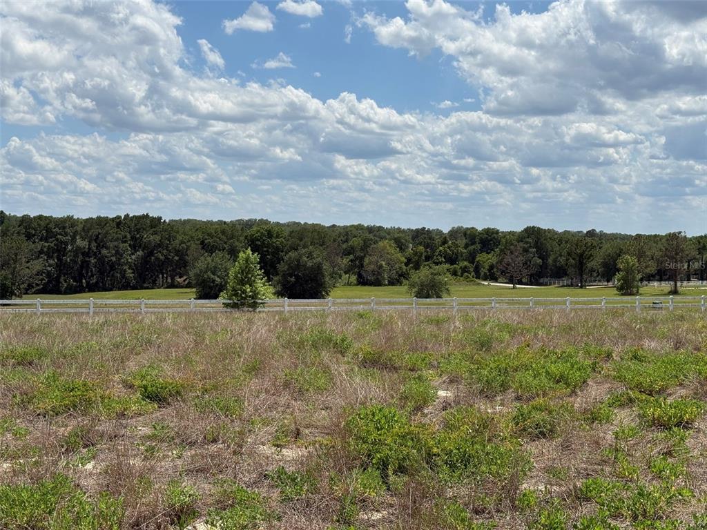 6115 Ranch Lake Road Groveland, FL 34736 - Photo 25 of 28
