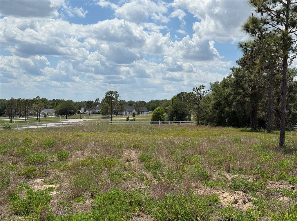 6115 Ranch Lake Road Groveland, FL 34736 - Photo 26 of 28