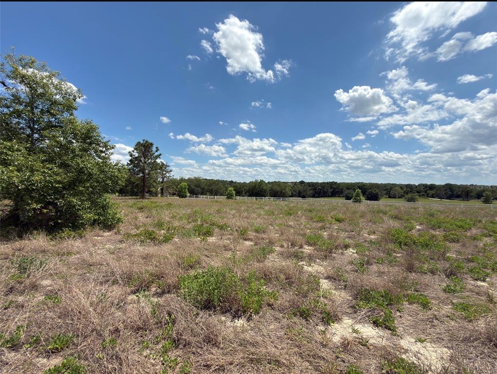 6115 Ranch Lake Road Groveland, FL 34736 - Photo 27 of 28