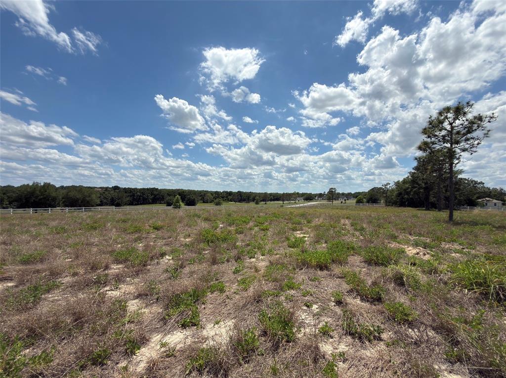 6115 Ranch Lake Road Groveland, FL 34736 - Photo 28 of 28