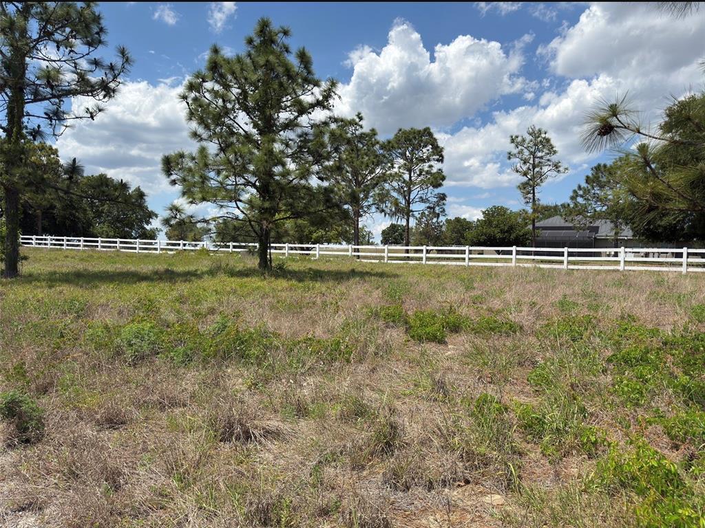6115 Ranch Lake Road Groveland, FL 34736 - Photo 3 of 28