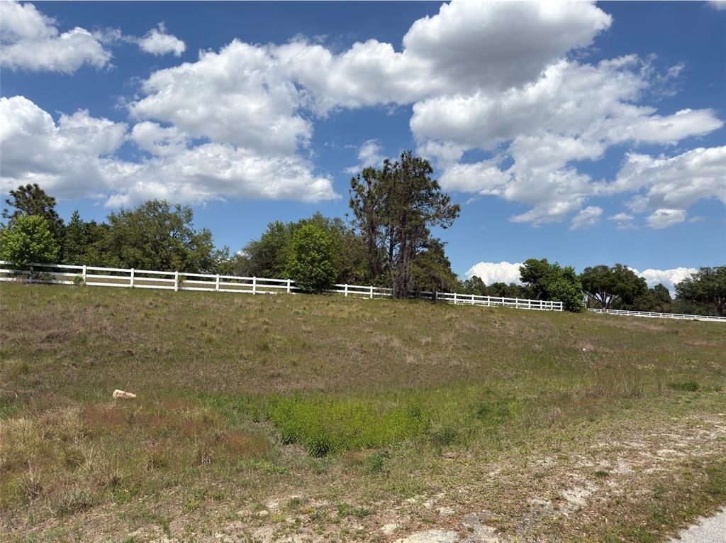 6115 Ranch Lake Road Groveland, FL 34736 - Photo 8 of 28