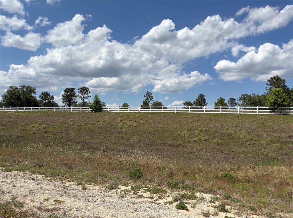 6115 Ranch Lake Road Groveland, FL 34736 - Photo 9 of 28