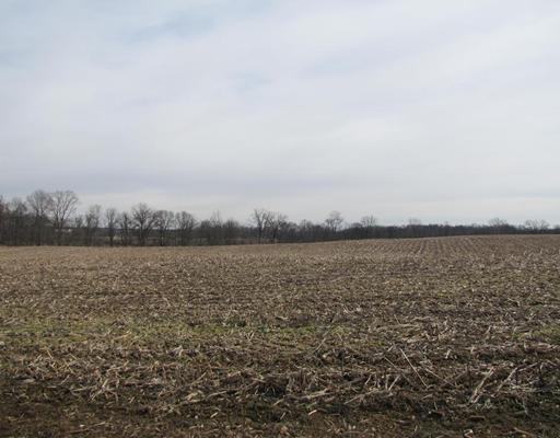0 North St Route Urbana, OH 43078 - Photo 4 of 7