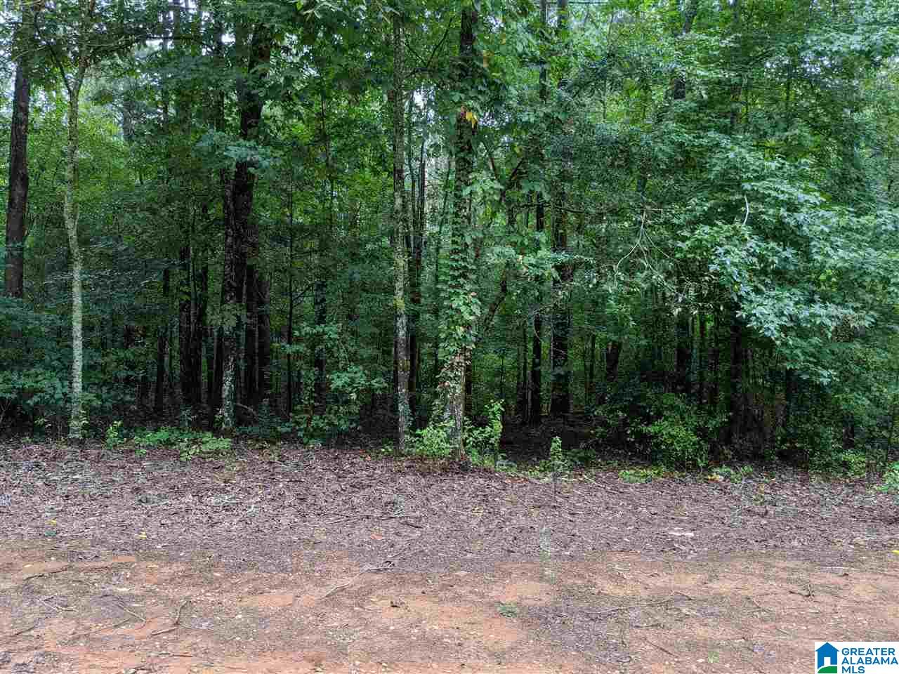 178 Olde Springs Road, Unit 24 Anniston, AL 36207 - Photo 5 of 37