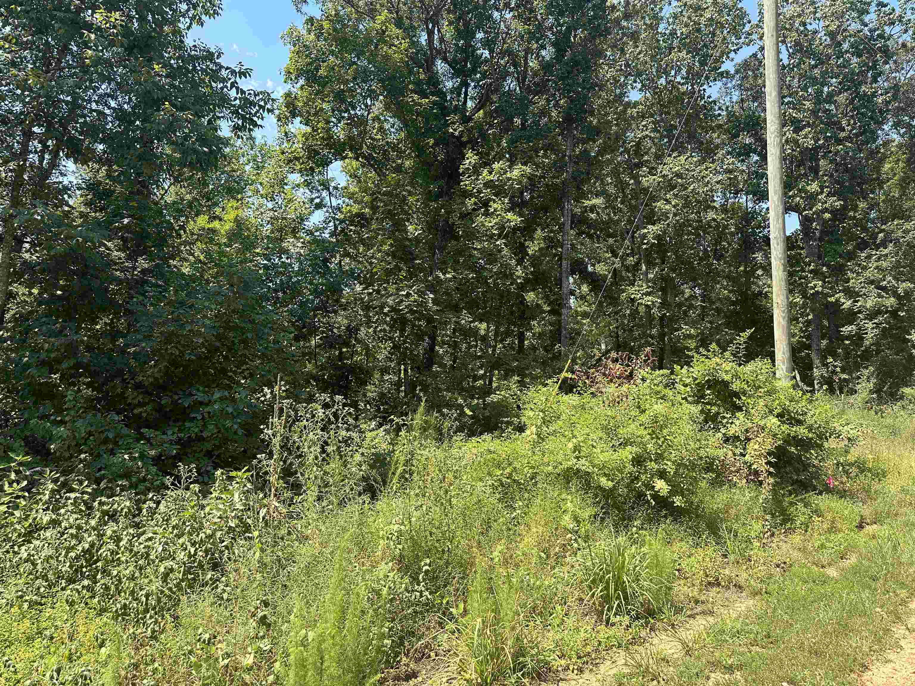 5 Liberty Road Morris Chapel, TN 38361 - Photo 1 of 7 Gallery Image 1