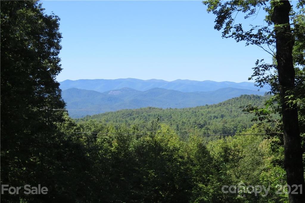 369 Slick Rock Road Brevard, NC 28712 - Photo 4 of 5 Gallery Image 4