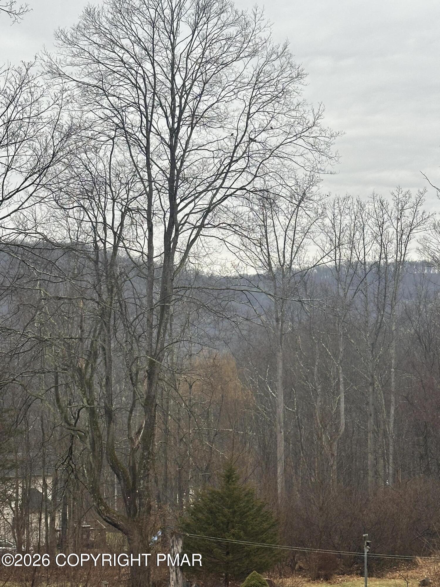 2 Shepard Court Delaware Water Gap, PA 18327 - Photo 56 of 57 a view of a pathway of a yard with large trees