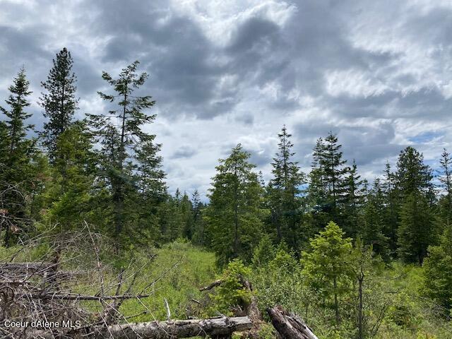 4 East Amulet Circle Rathdrum, ID 83858 - Photo 16 of 19 Lot