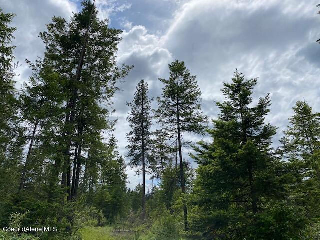 4 East Amulet Circle Rathdrum, ID 83858 - Photo 17 of 19 Lot