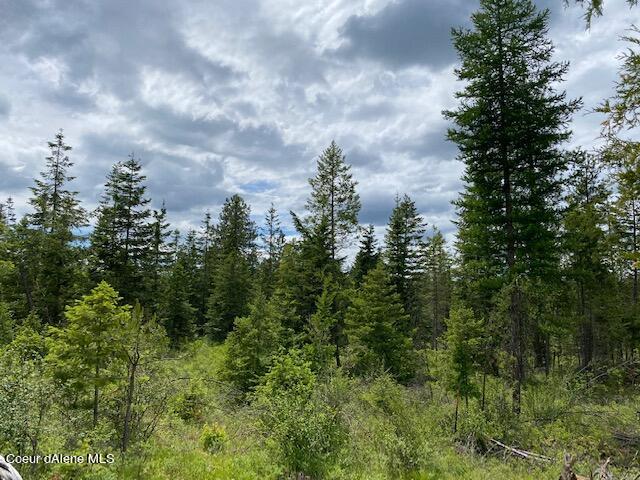 4 East Amulet Circle Rathdrum, ID 83858 - Photo 18 of 19 Lot