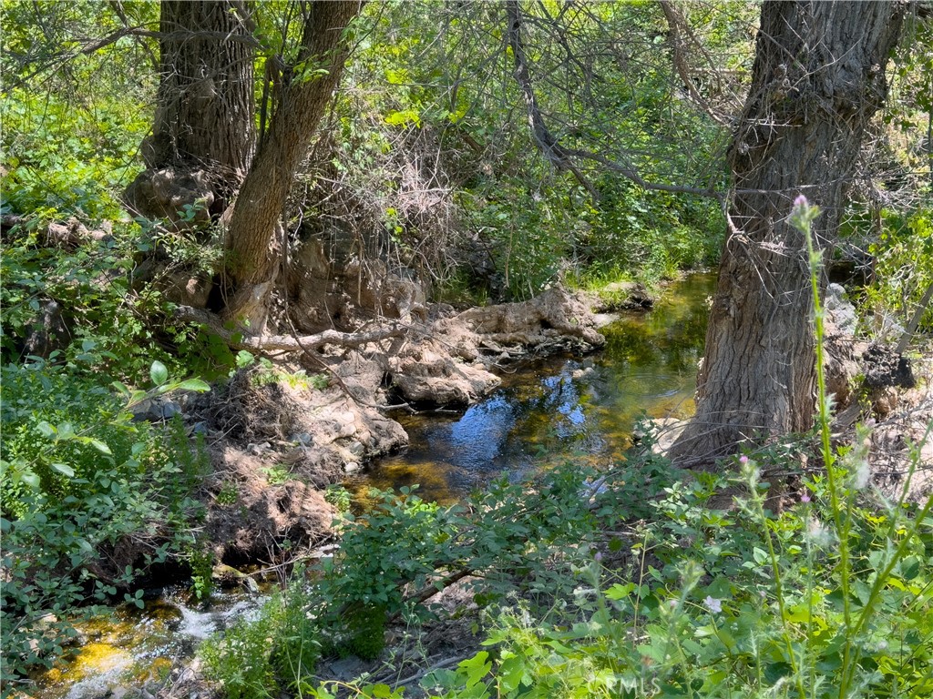 10 Miller Road Mariposa, CA 95338 - Photo 1 of 34 a picture of trees