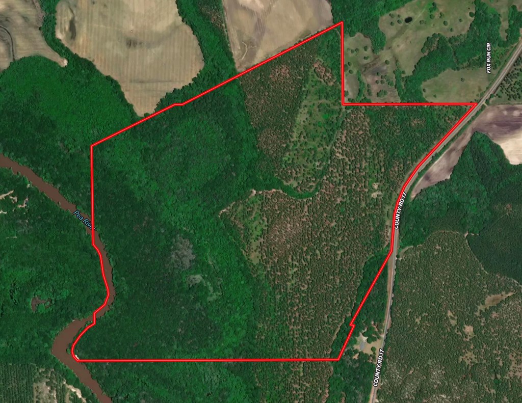 202-acres Columbus Holley Road Samson, AL 36477 - Photo 14 of 50