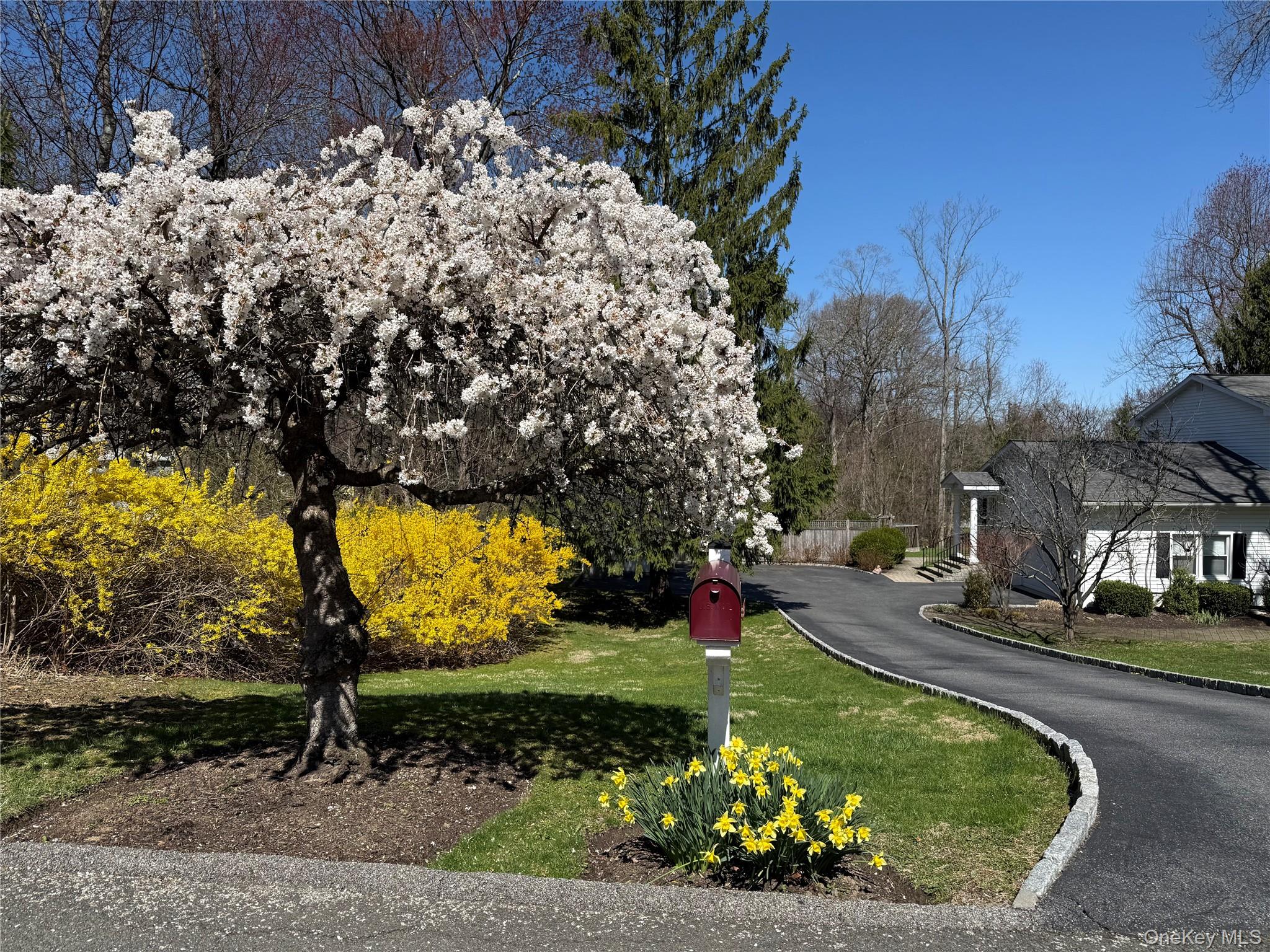 119 Edgewood Road Ossining, NY 10562 - Photo 43 of 50 Gorgeous trees and landscaping in bloom as you enter the driveway for #119. Also a view of the two car garage on the side of the house and the side entry porch.
