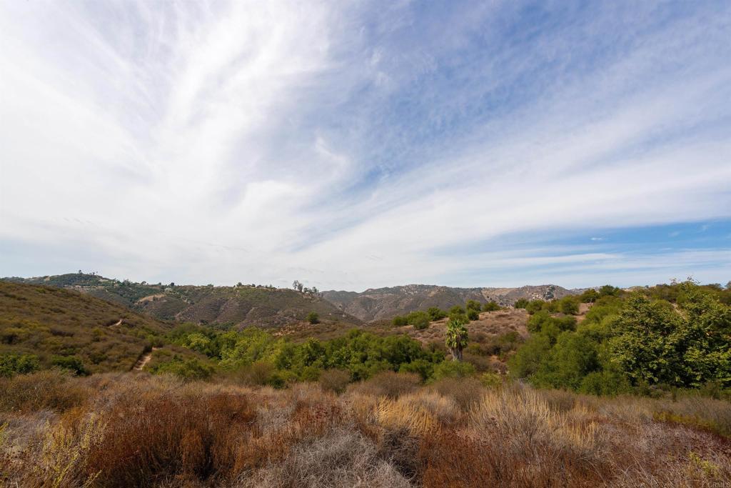 1738 Vía De Lago Fallbrook, CA 92028 - Photo 20 of 25