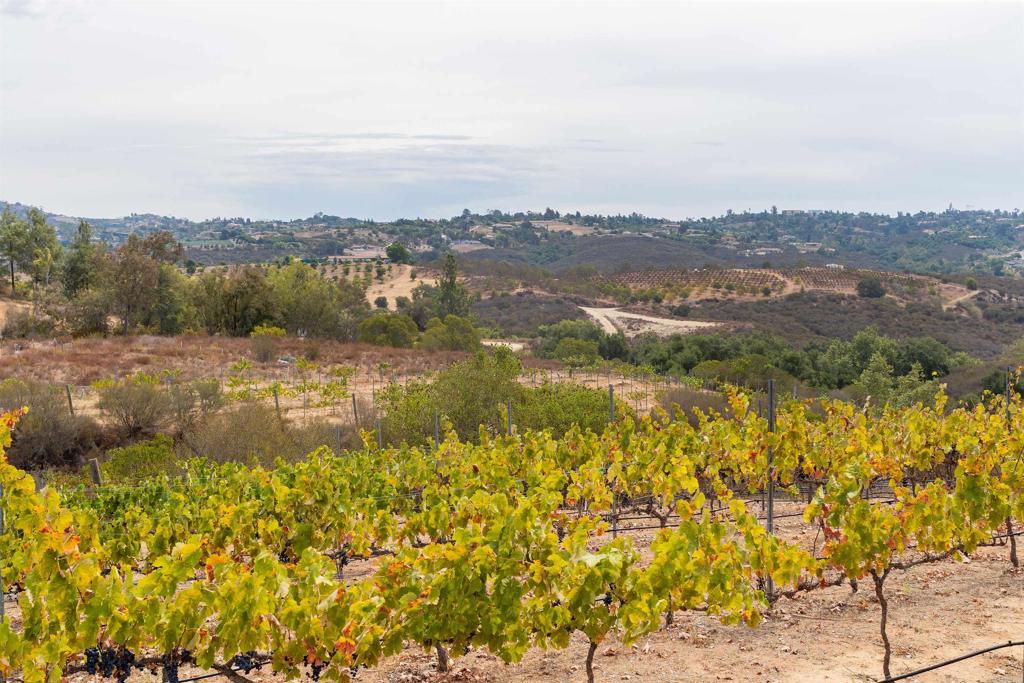 1738 Vía De Lago Fallbrook, CA 92028 - Photo 2 of 25