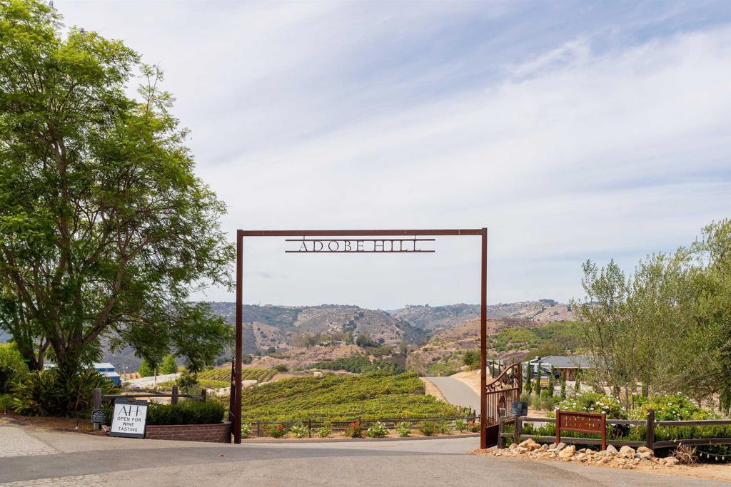 1738 Vía De Lago Fallbrook, CA 92028 - Photo 21 of 25