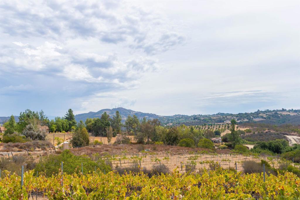 1738 Vía De Lago Fallbrook, CA 92028 - Photo 3 of 25