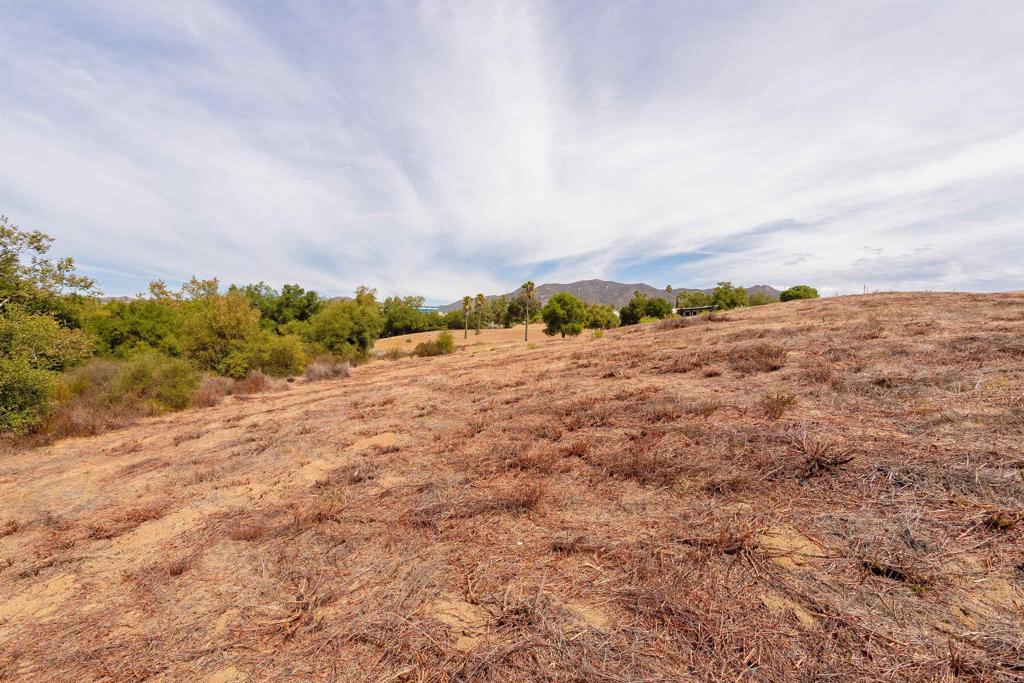1738 Vía De Lago Fallbrook, CA 92028 - Photo 4 of 25