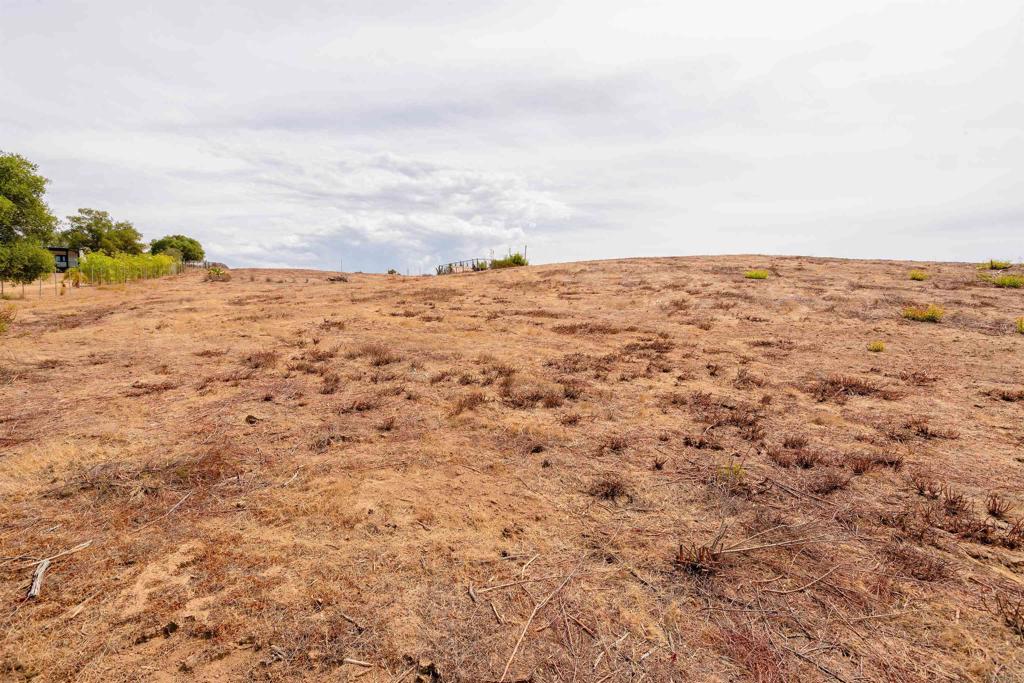 1738 Vía De Lago Fallbrook, CA 92028 - Photo 5 of 25