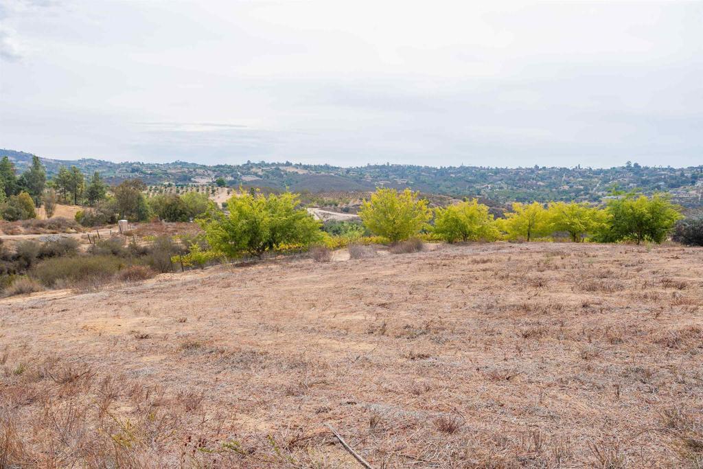 1738 Vía De Lago Fallbrook, CA 92028 - Photo 8 of 25