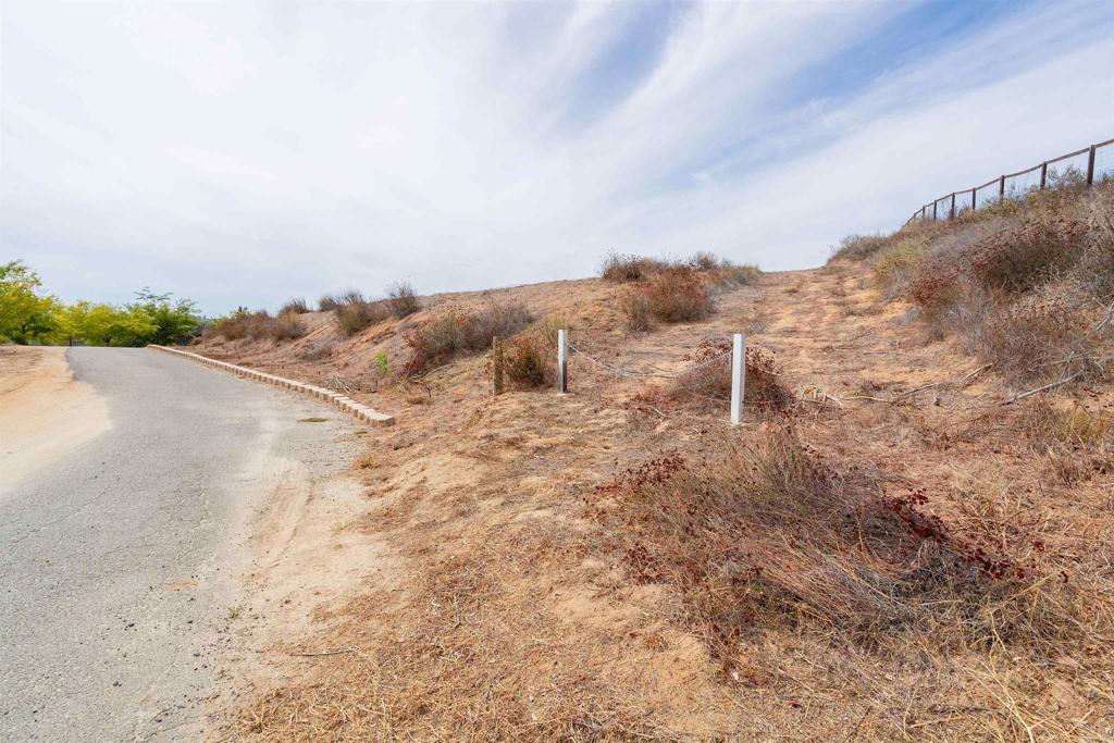 1738 Vía De Lago Fallbrook, CA 92028 - Photo 9 of 25