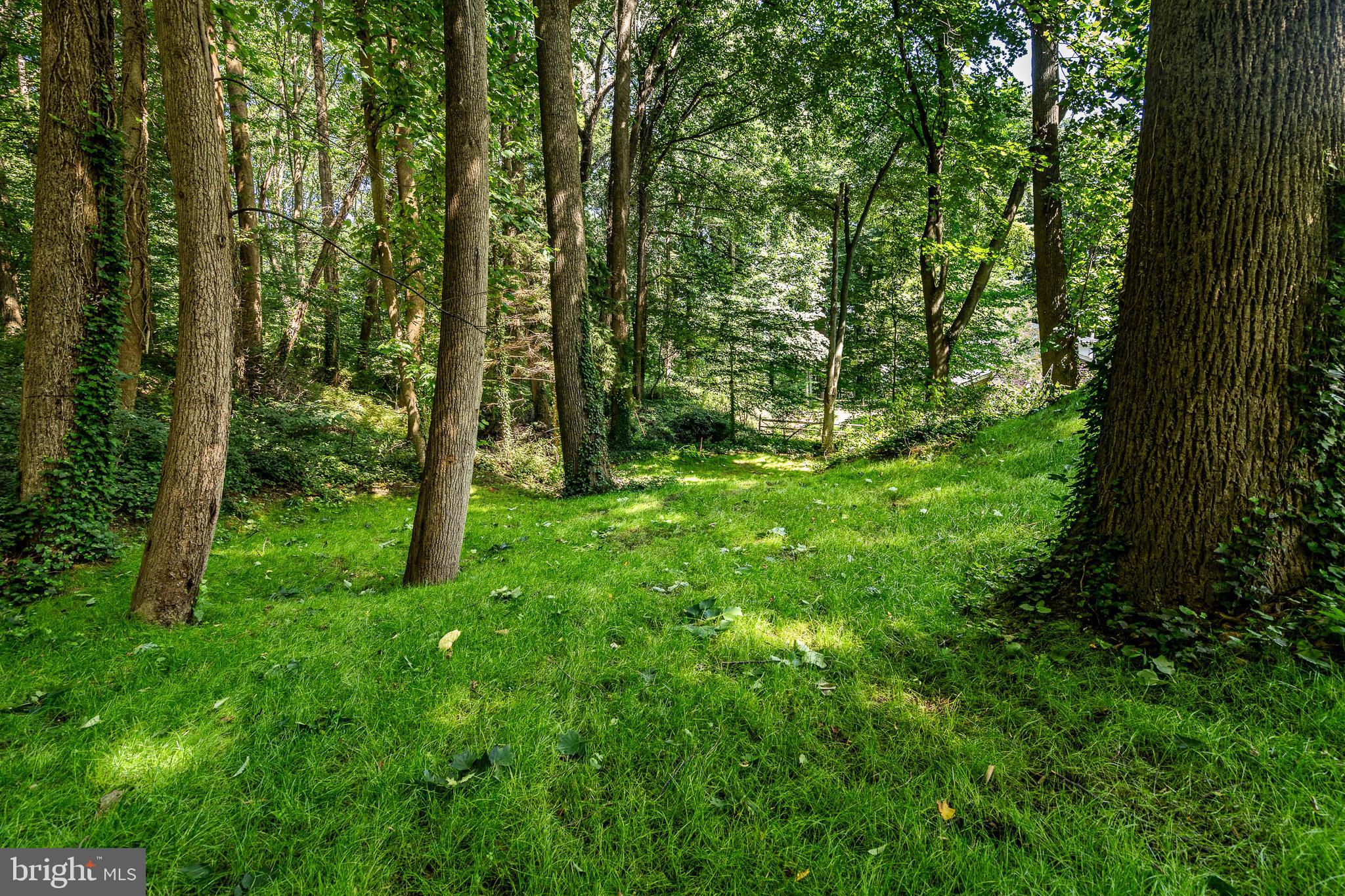 4 Blue Jay Drive Newark, DE 19713 - Photo 47 of 59 Backyard